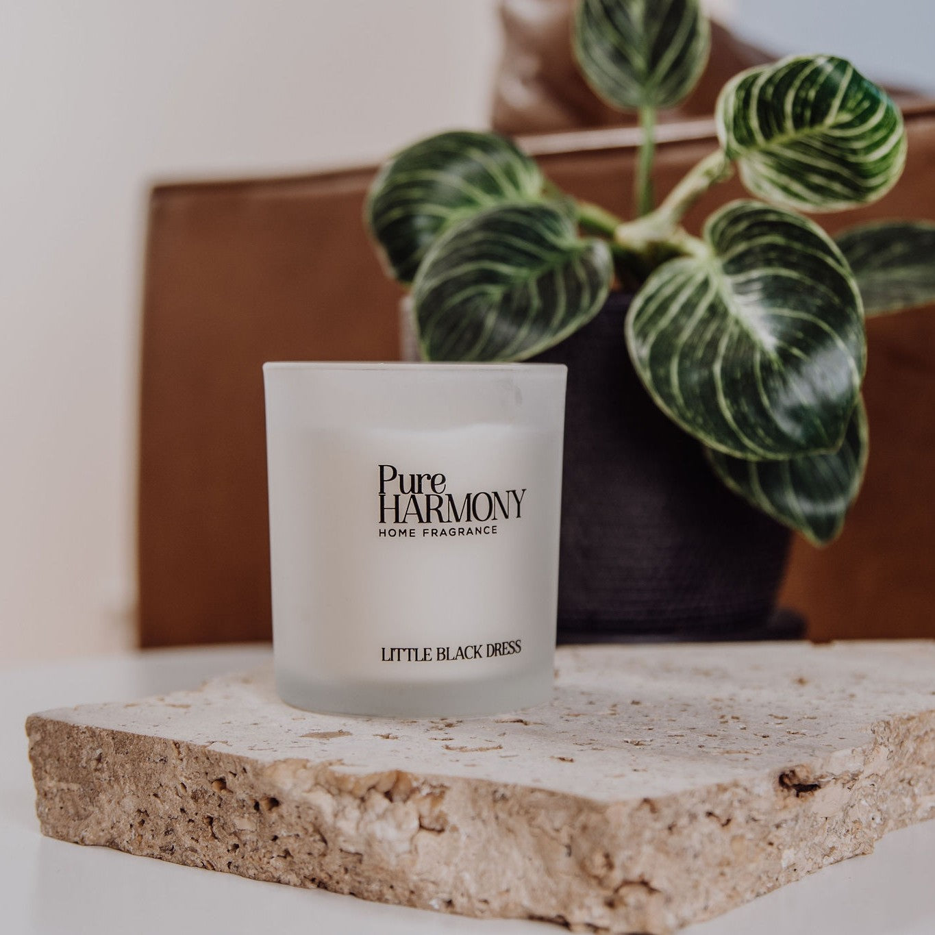 Little Black Dress Type Soy Candle