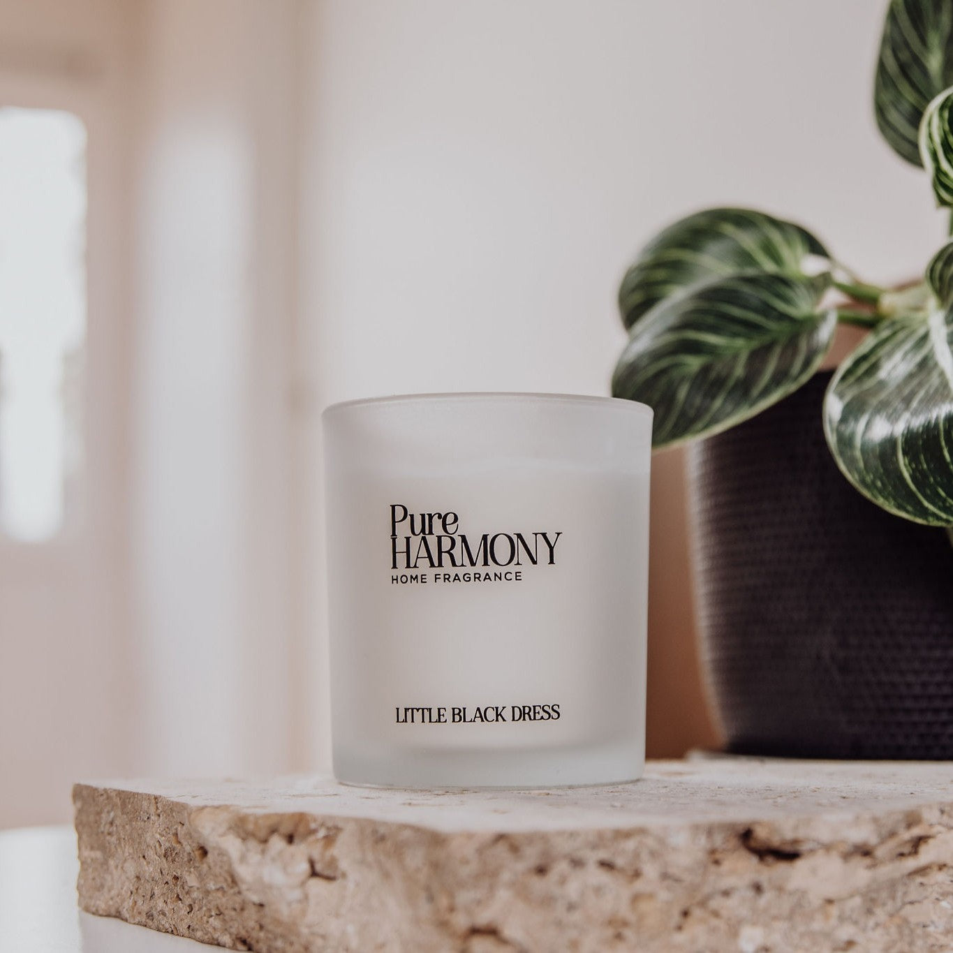 Little Black Dress Type Soy Candle
